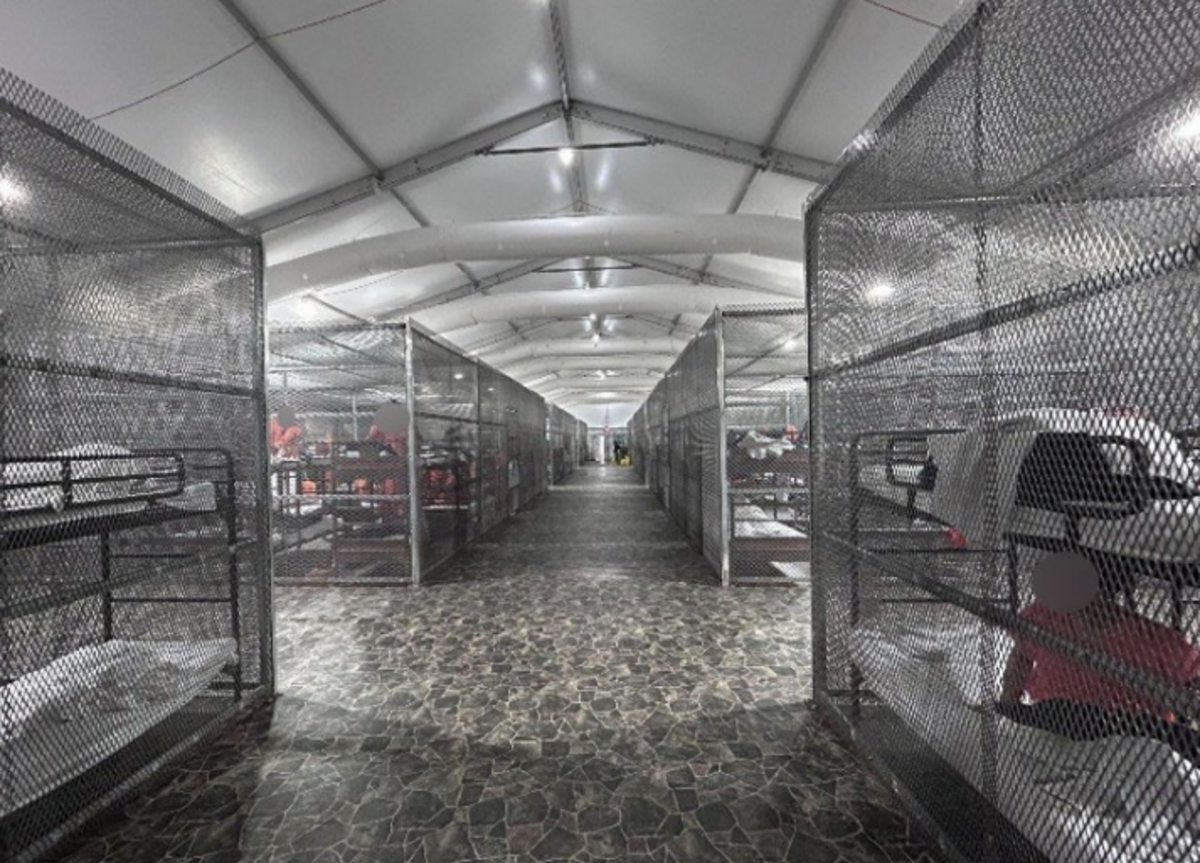 A photo of the Florida facility in January 2026 shows rows of cages and bunk beds in a tent.